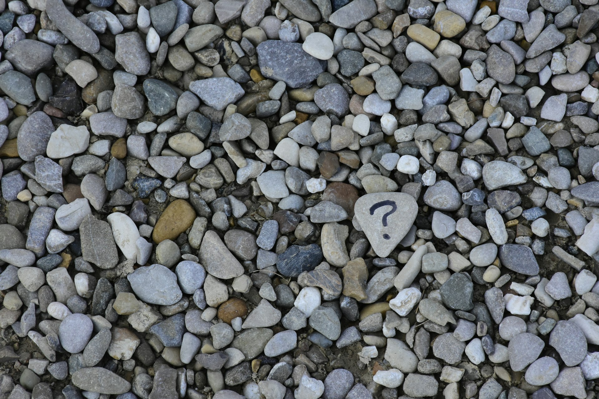 This photograph shows a pile of rocks with one rock painted with a question mark. It’s a stock image so the individuals should not be identified. It’s being used to illustrate that the article it represents is about When 'Grow or Sell' Is the Wrong Question. The text alternative is “When 'Grow or Sell' Is the Wrong Question” as this best describes the intended impression.